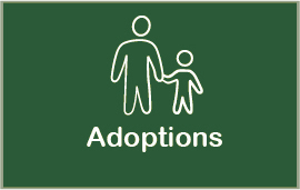 Adoption