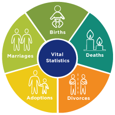 Vital Events Wheel